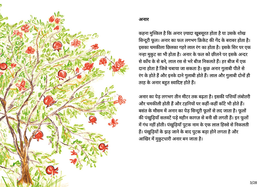 बाग की सैर - Page 3