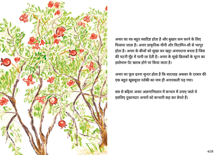 बाग की सैर - Page 4