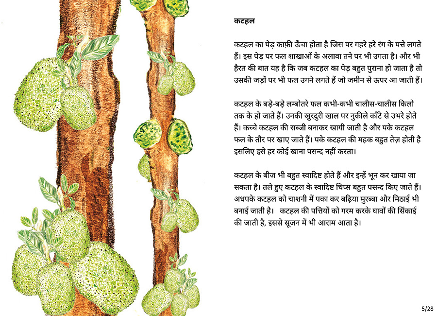 बाग की सैर - Page 5