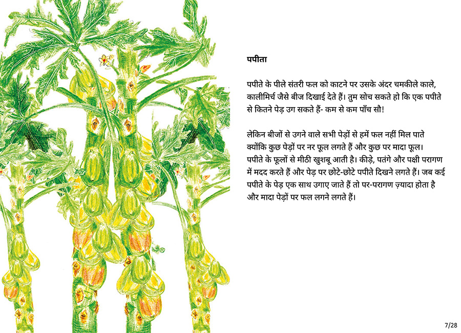 बाग की सैर - Page 7