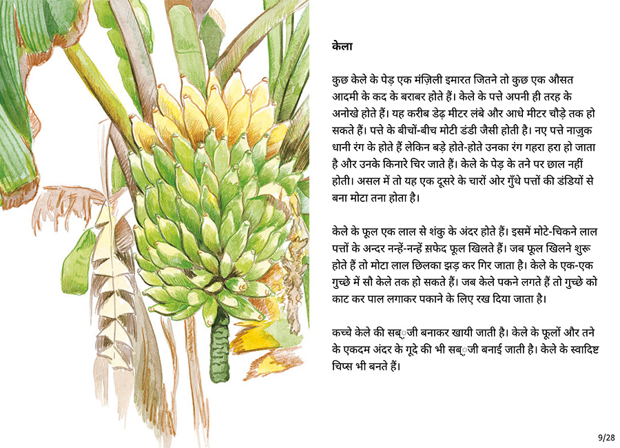 बाग की सैर - Page 9