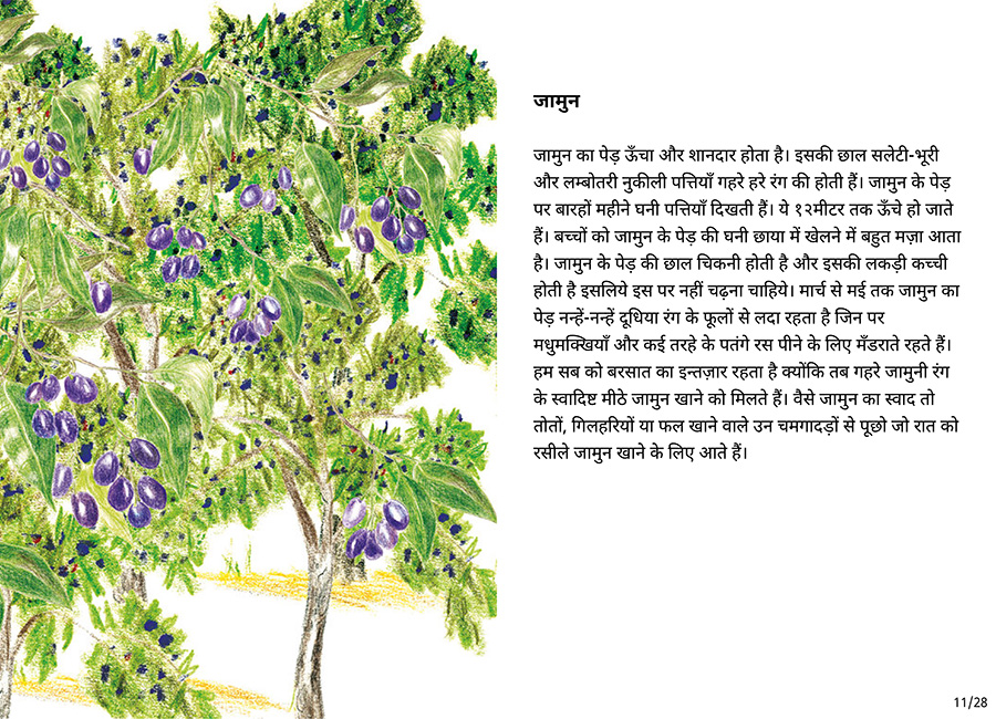 बाग की सैर - Page 11