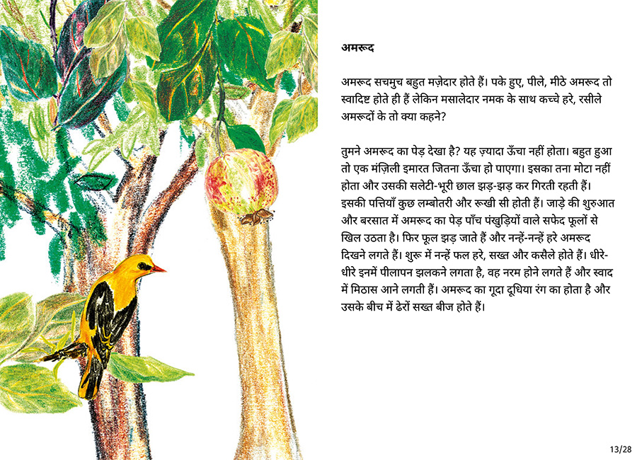 बाग की सैर - Page 13