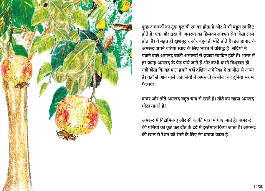 बाग की सैर - Page 14