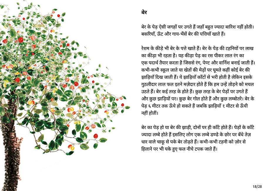बाग की सैर - Page 18