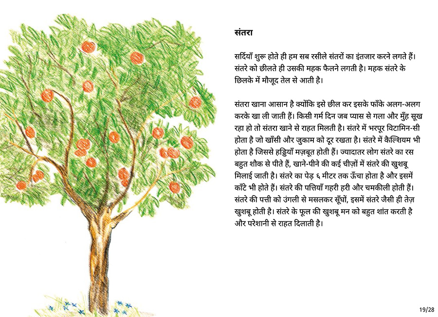 बाग की सैर - Page 19