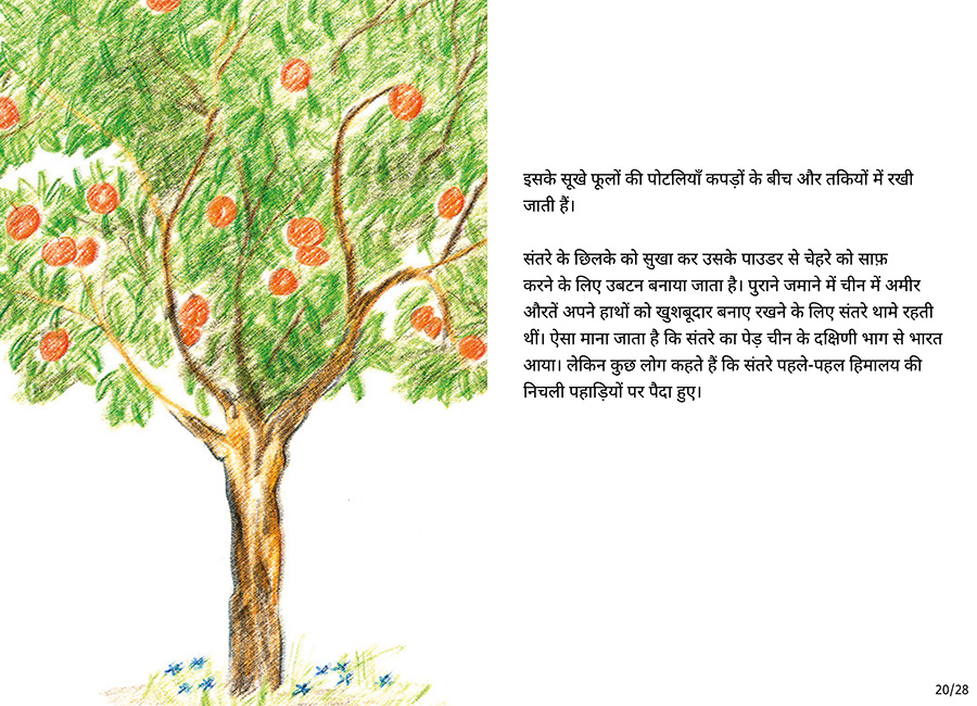 बाग की सैर - Page 20