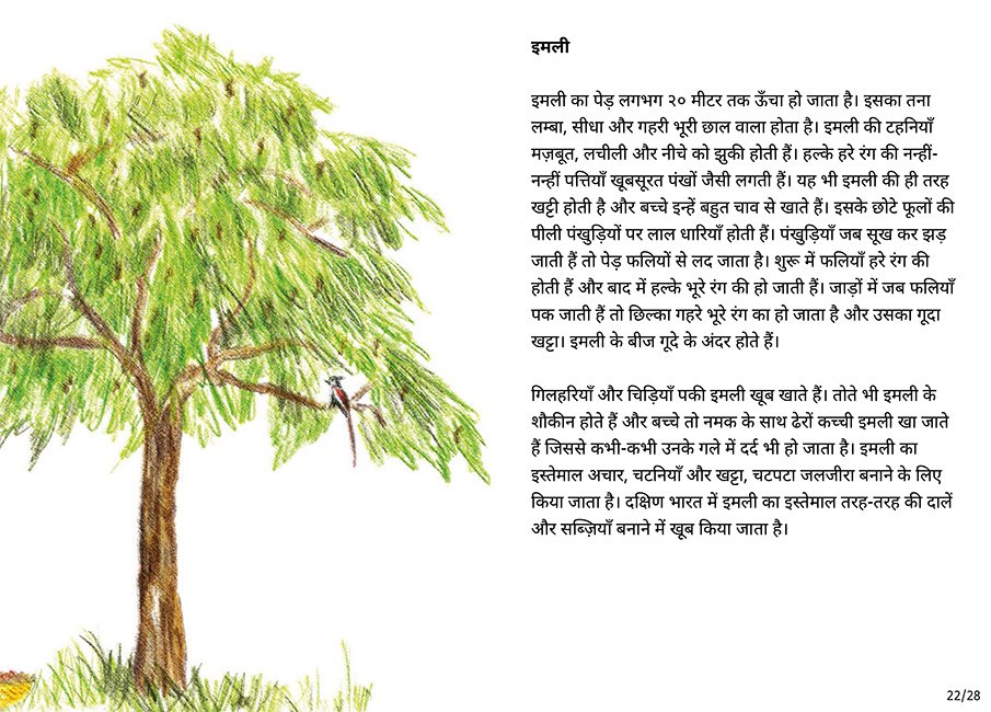 बाग की सैर - Page 22