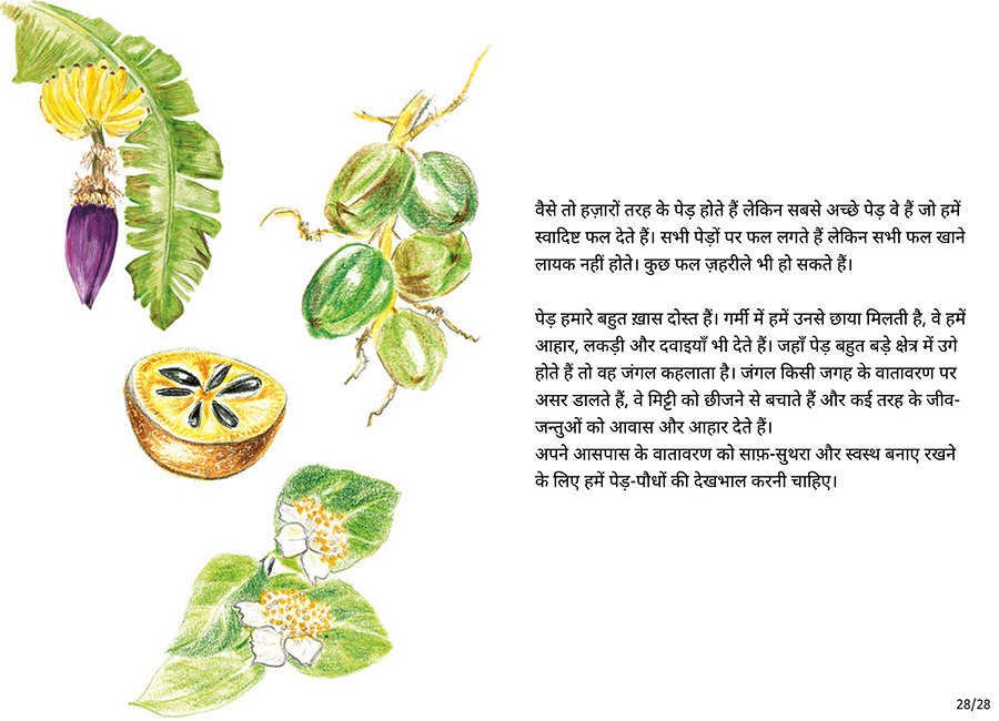 बाग की सैर - Page 28